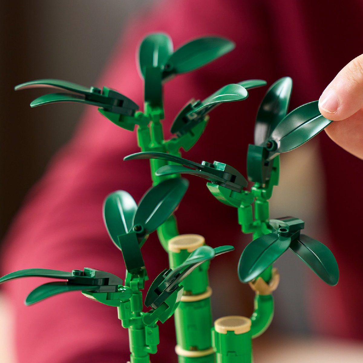 Đồ Chơi Lắp Ráp Cây Thần Tài May Mắn LEGO BOTANICALS 10344 (325 Chi Tiết)