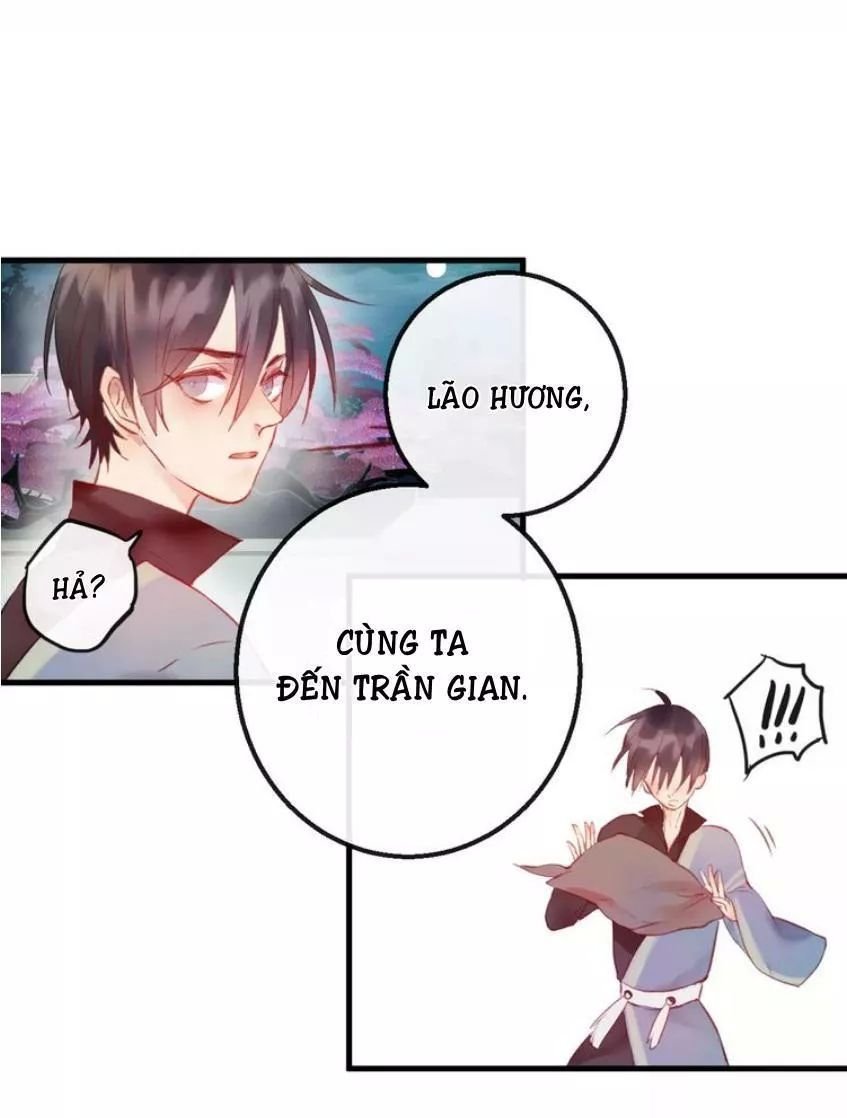 hồ minh chi hương chapter 5 39