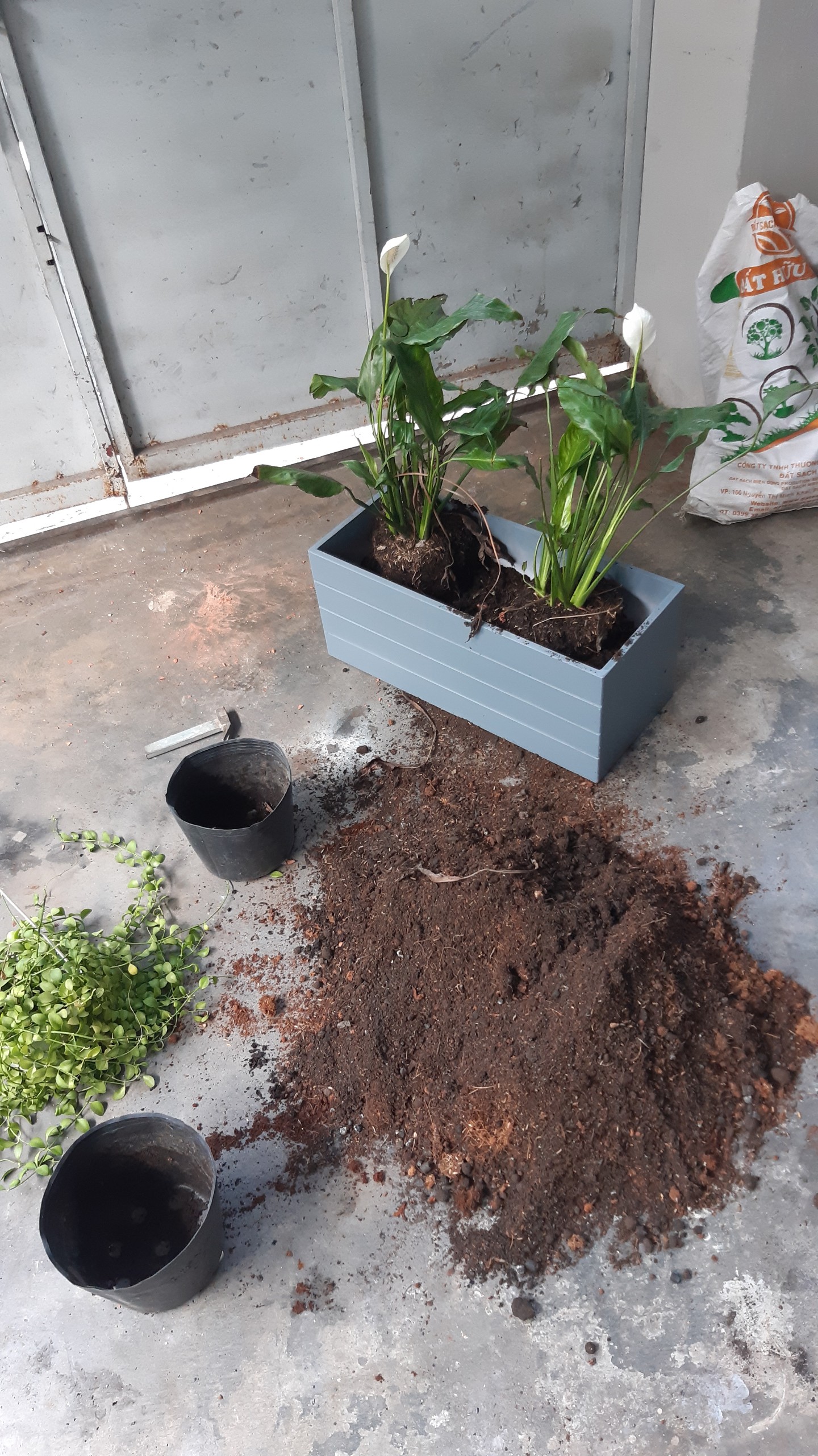 Chậu nhựa composite 80x30x30