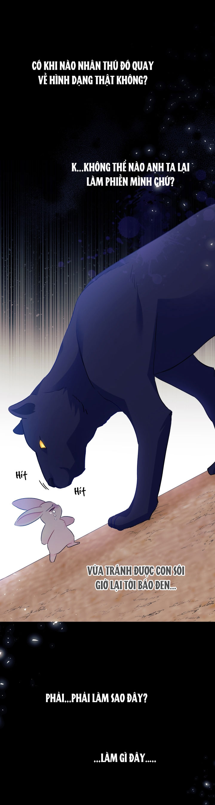 mối liên kết giữa báo đen và bé thỏ chapter 23 14