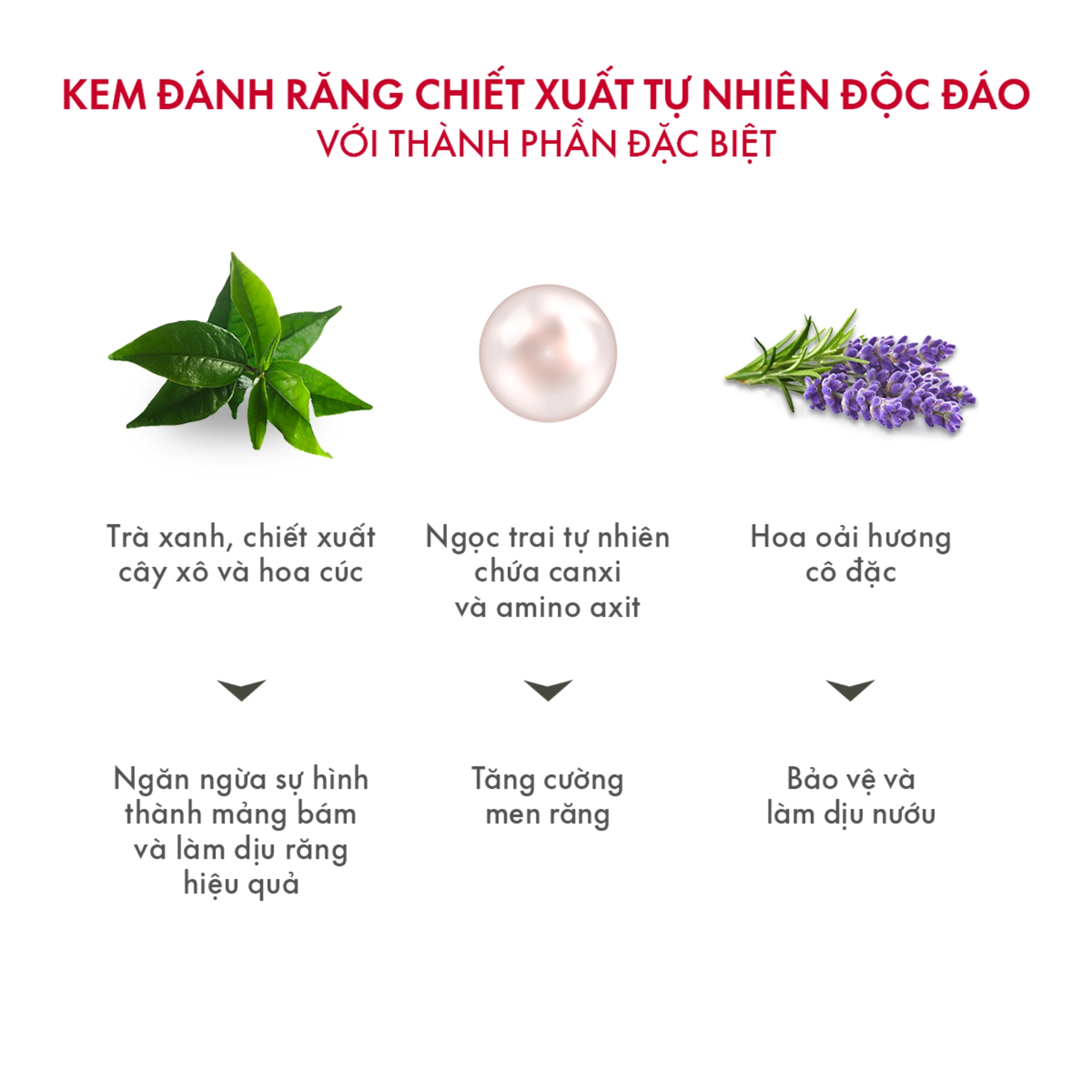 Kem Đánh Răng SPLAT Green Tea Professional series Chiết Xuất Trà Xanh Làm Dịu Nướu, Bảo Vệ Men Răng, Thơm Miệng 20ml