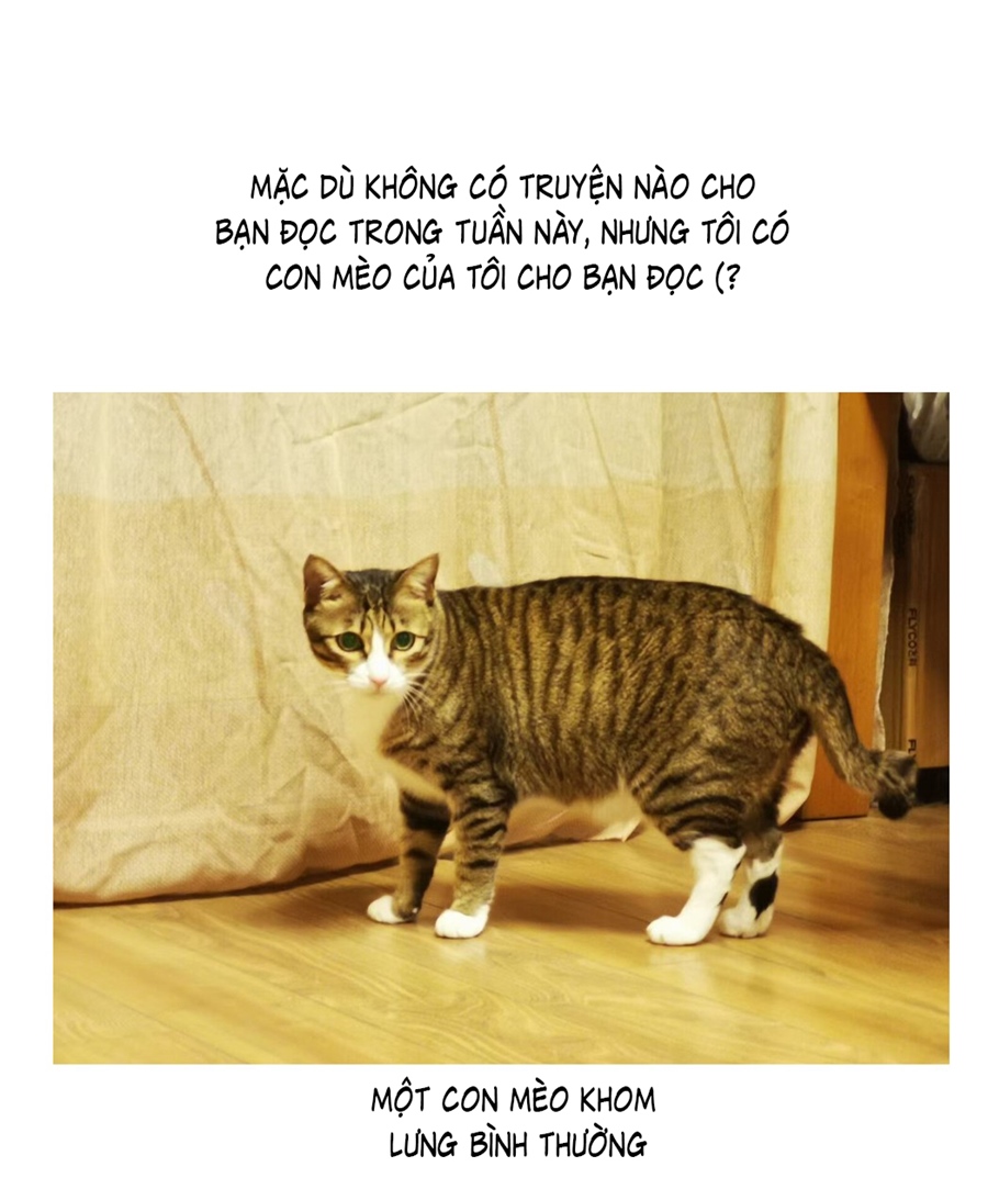 đừng nói yêu tôi chapter 52.1 2