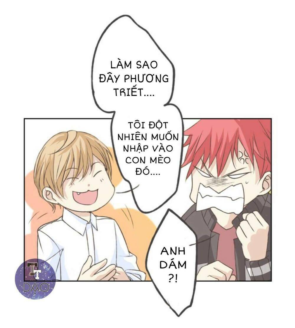 tôi không phải đa nhân cách chapter 14 47