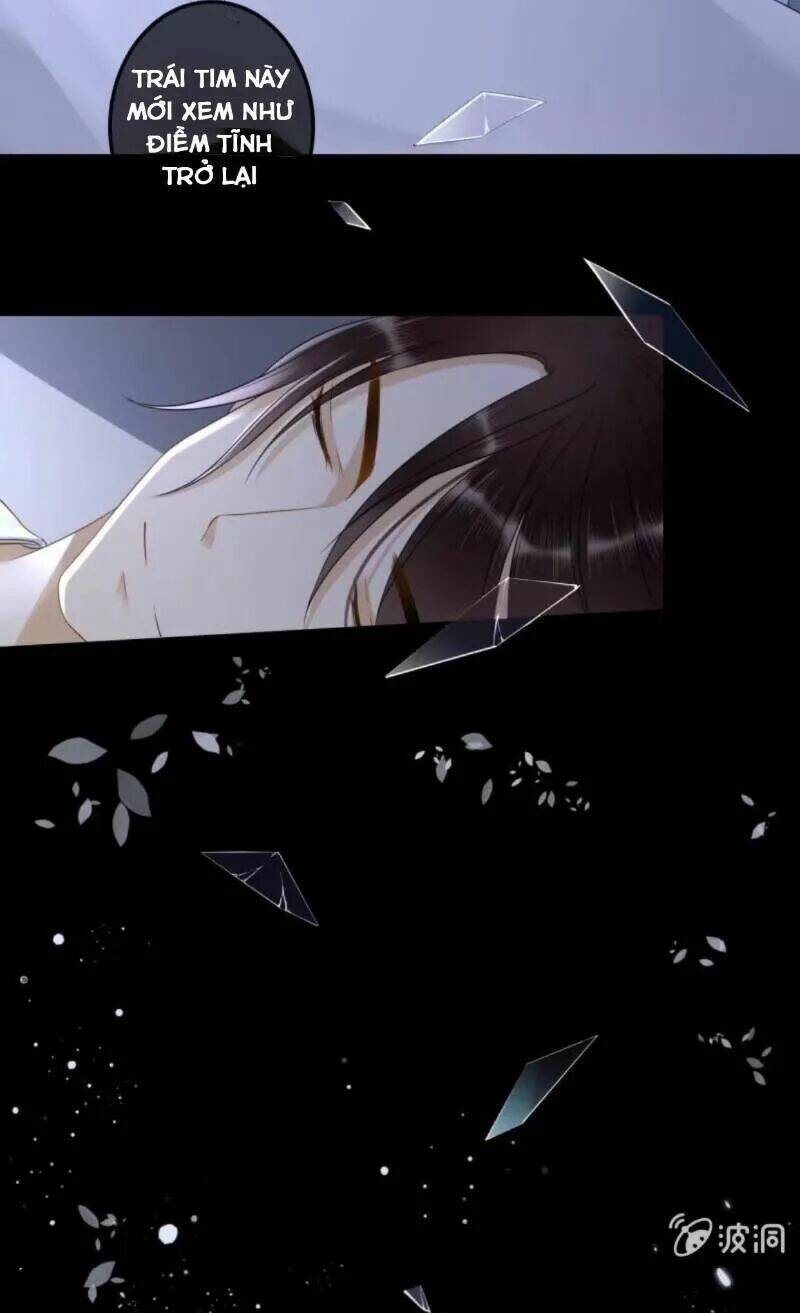 sủng phi của vương chapter 133 28