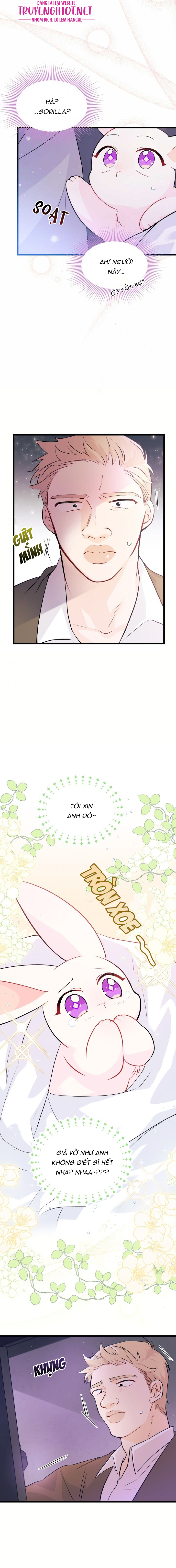 mối liên kết giữa báo đen và bé thỏ chapter 36.2 5