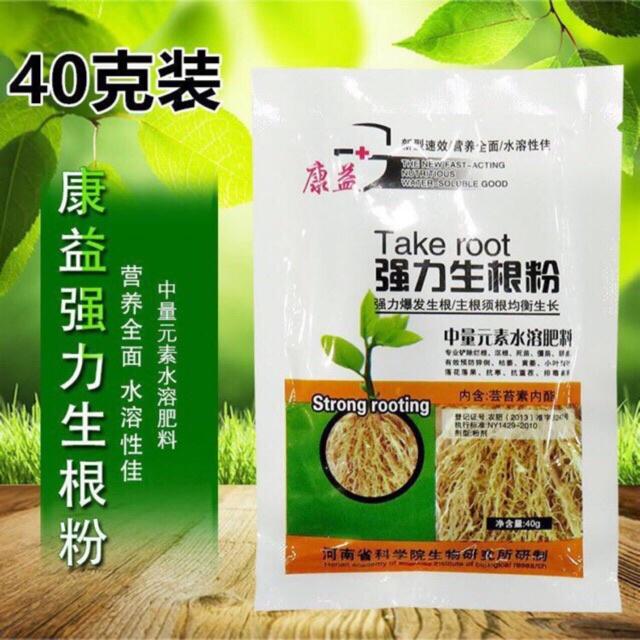 Phân bón lá hữu cơ Rong Biển siêu ra rễ, đứng lá,mập lá