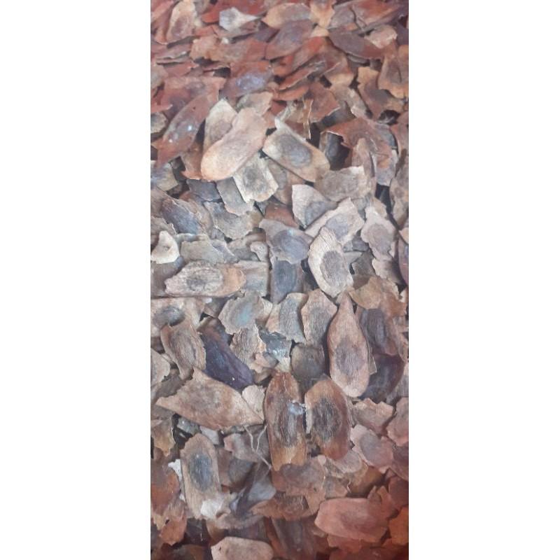 500gram sưa đỏ giống