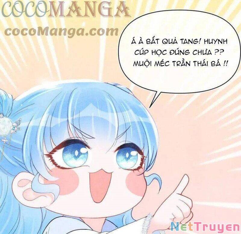 nhóc con người cá 3 tuổi rồi chapter 187 6