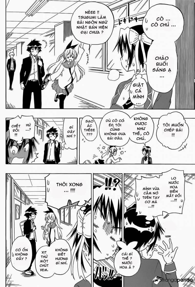 nisekoi - tình yêu giả tạo chapter 140 6