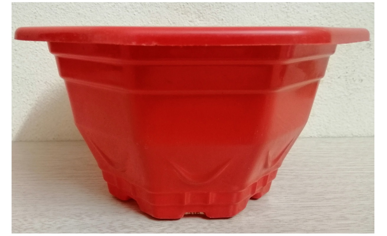 ComBo 10 Chậu Nhựa Trồng Cây Bát Giác Mini Kích Thước 17x17x10Cm