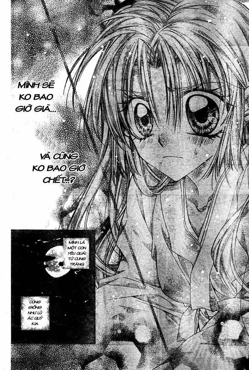 truyền thuyết công chúa hoa anh đào chapter 1 136