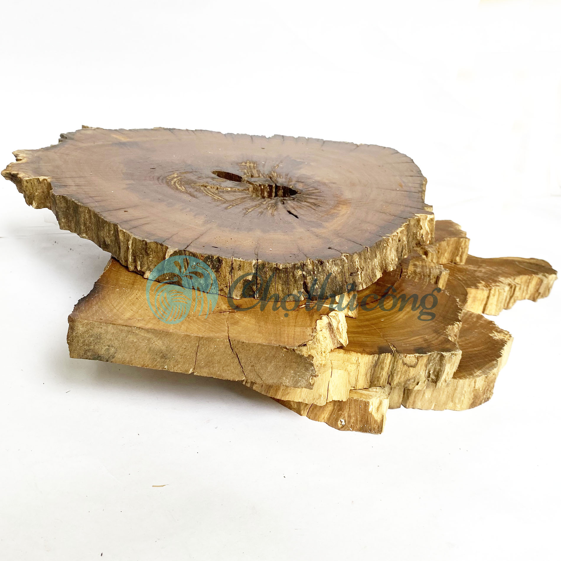 Khoanh gỗ tự nhiên lót chậu cây 20-25cm, lát gỗ lũa decor làm đế chậu cây, đế làm tháp bánh, đế gỗ kê tượng, miếng gỗ decor