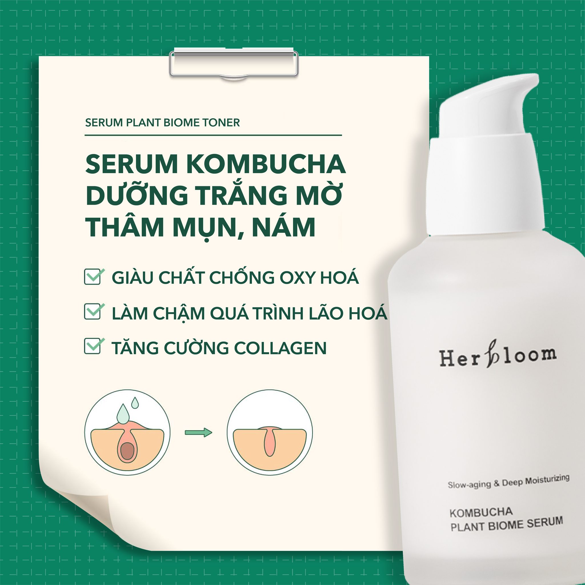 Serum Herbloom Chiết Xuất Thực Vật Hữu Cơ Kombucha Plant Biome 50ML