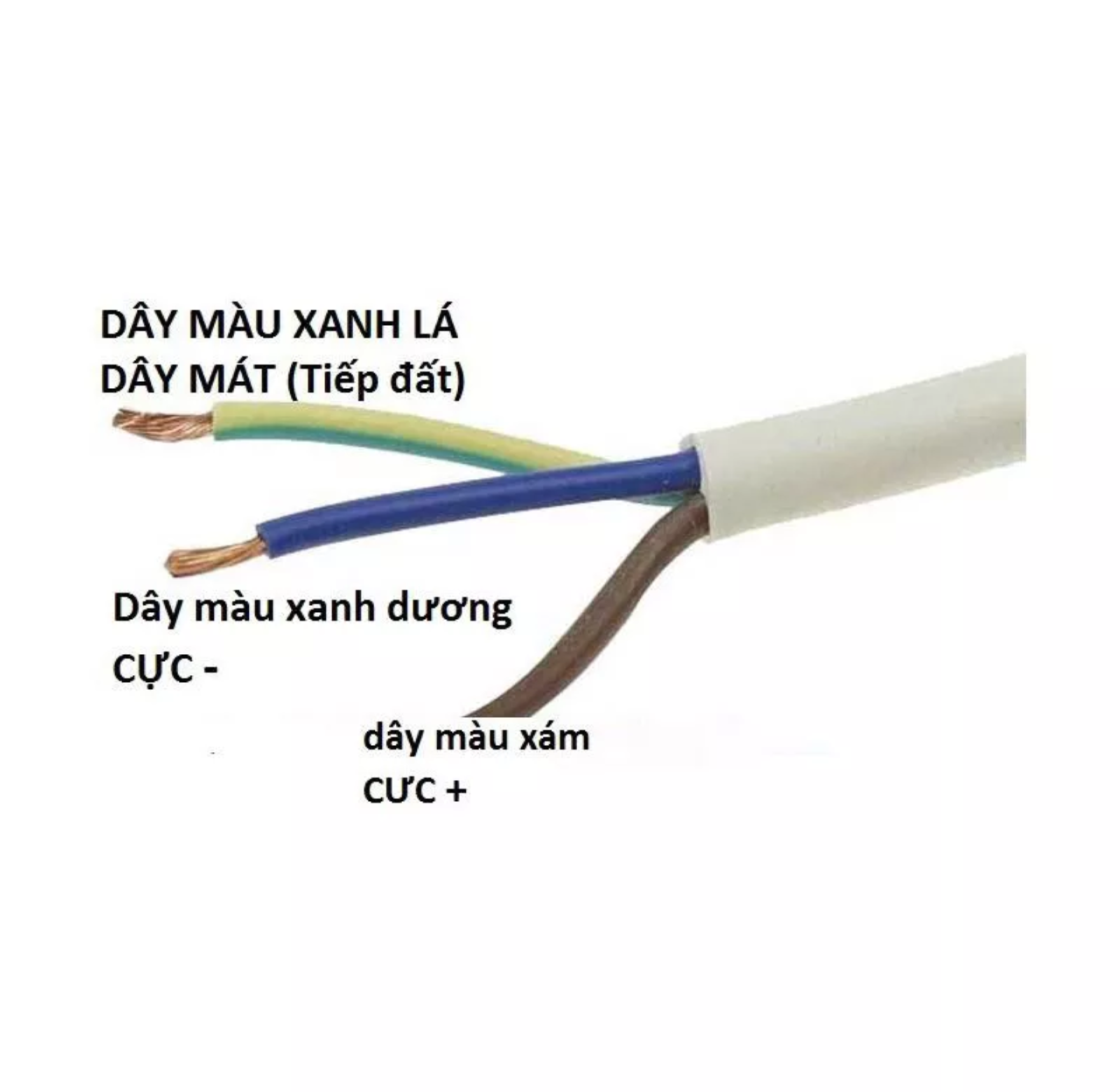 DÂY CHỐNG ĐIỆN GIẬT MÁY NÓNG LẠNH BÌNH NÓNG LẠNH TRỰC TIẾP AN TOÀN TIỆN DỤNG HÀNG CHẤT LƯỢNG