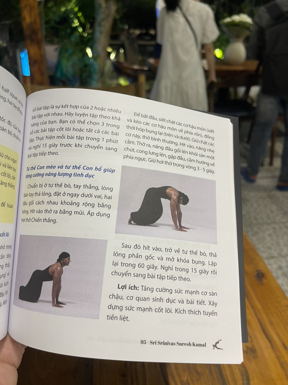 YOGA FOR YOUR BODY TYPE – Yoga theo Dosha và YOGA FOR MEN – Phục hồi và tăng sức mạnh nam giới – Con Sóc – NXB Thanh Niên