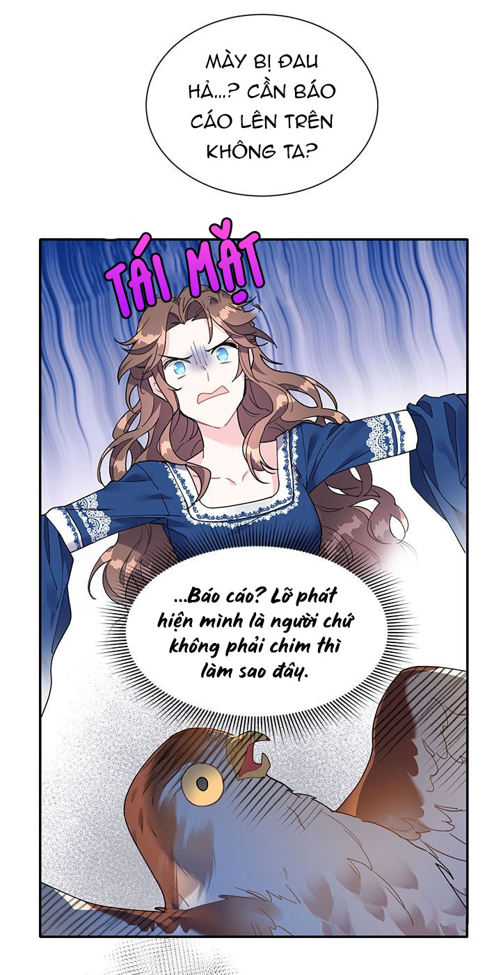 công chúa của loài chim chapter 2 15