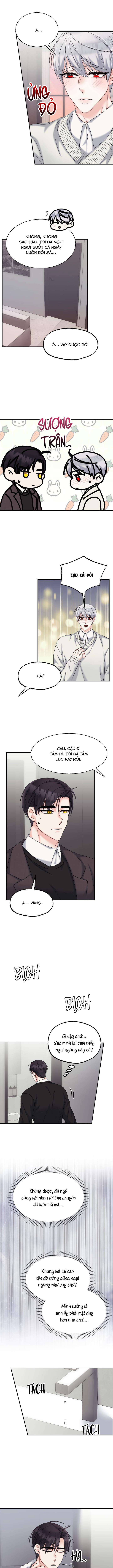 đây là chú thỏ mà bạn (không) đã đặt hàng chapter 11 5