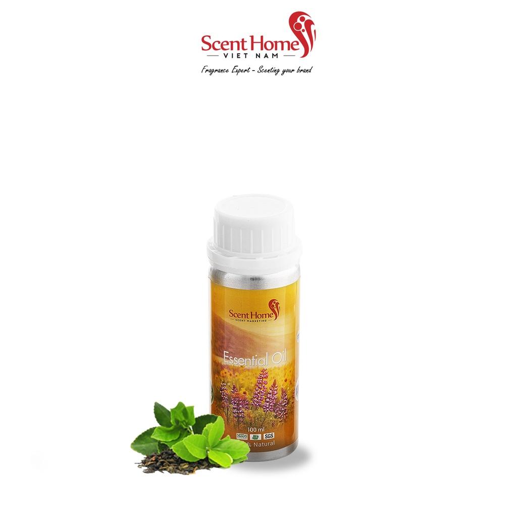 Tinh dầu Scent Homes - mùi hương