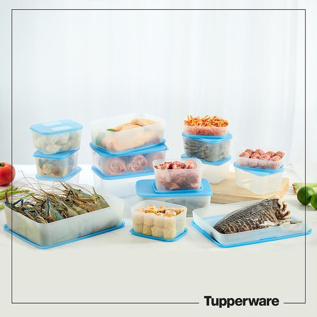 Bộ Hộp Trữ Đông Freezermate Jumbo Set 16 TUPPERWARE CHÍNH HÃNG