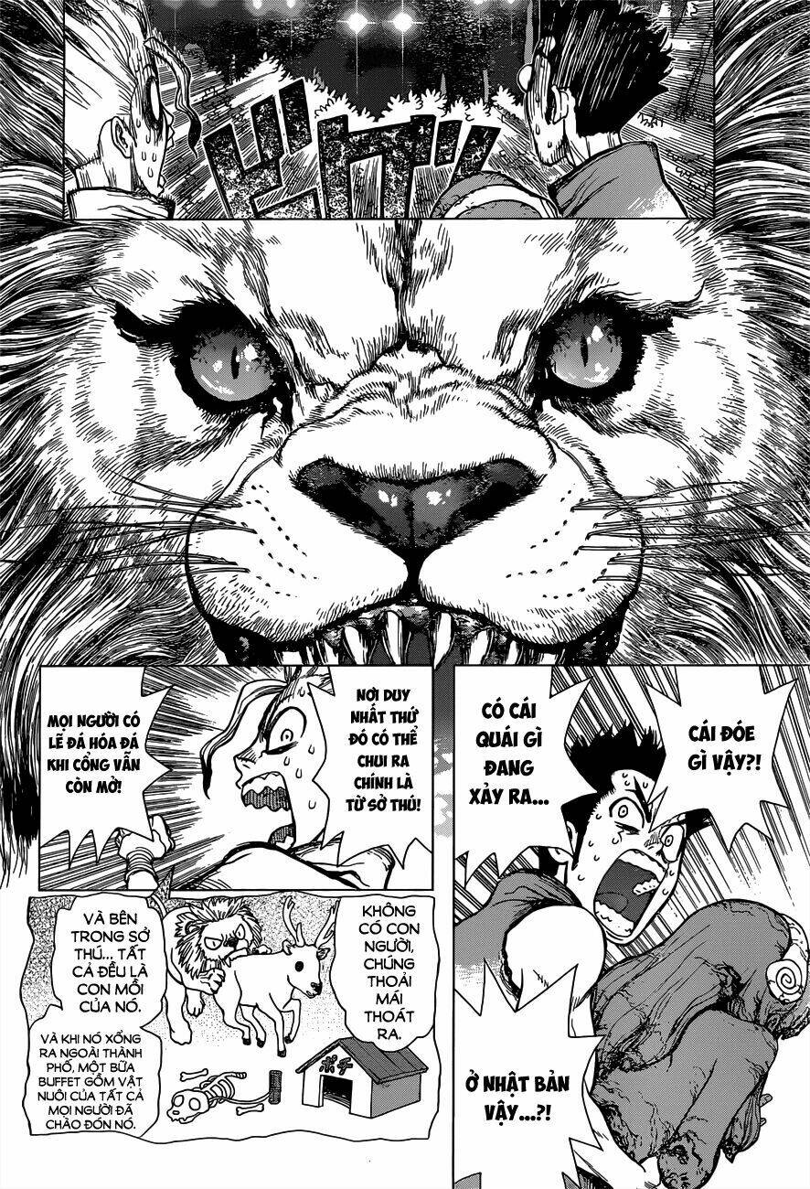 dr.stone - hồi sinh thế giới chapter 3 8