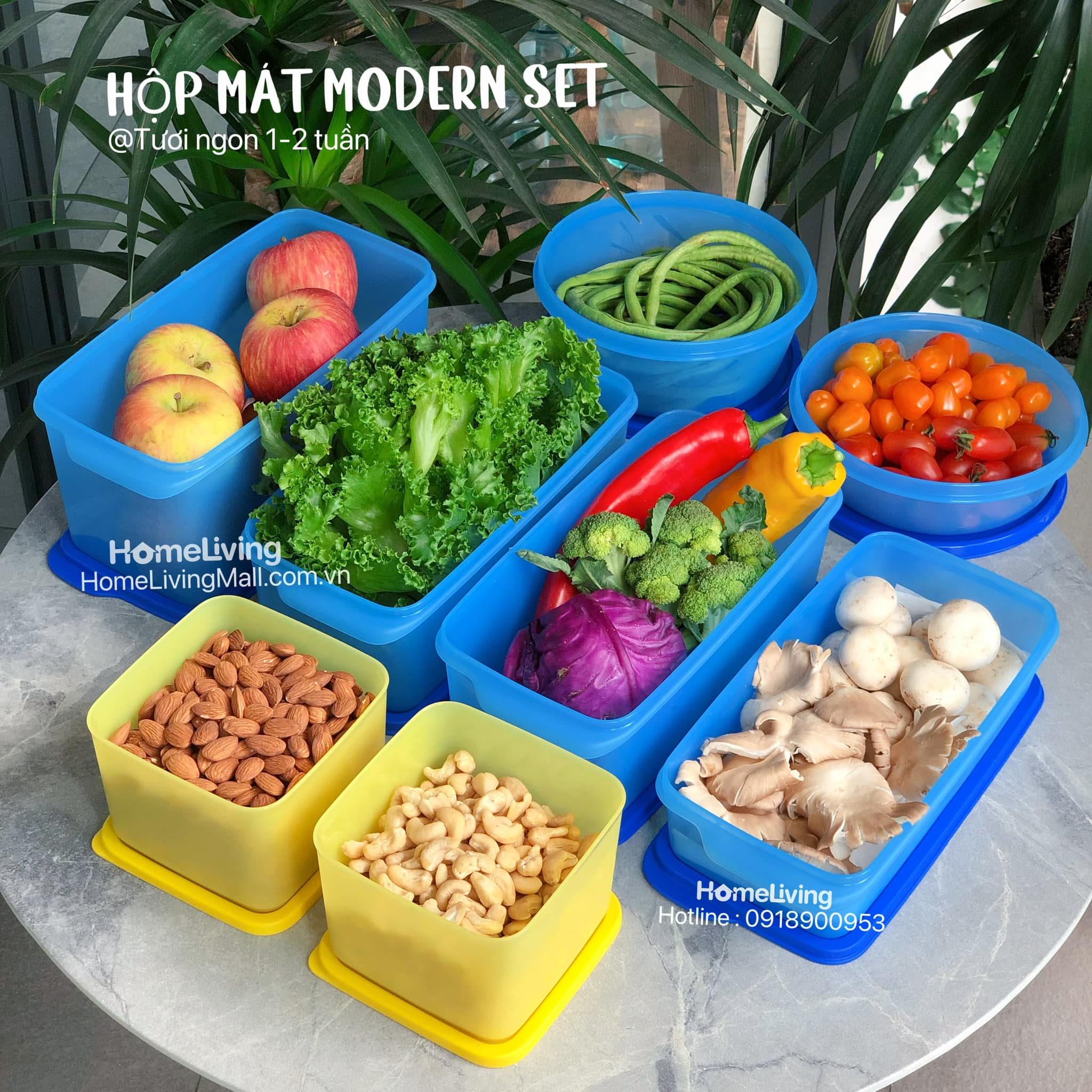 Set Trữ Mát Tupperware Modern 8 Hộp