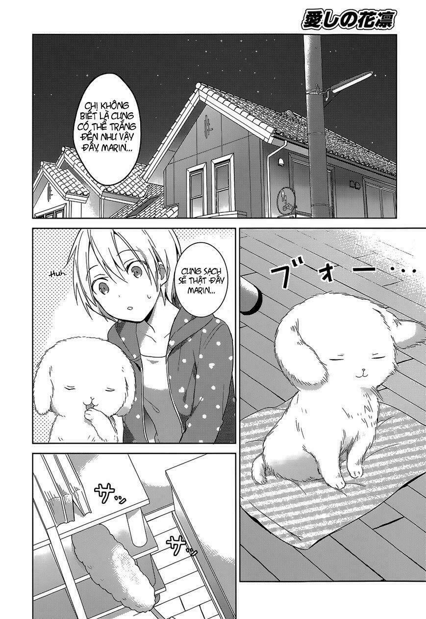 chuyện tình nhẹ nhàng và ngọt ngào chapter 19 23