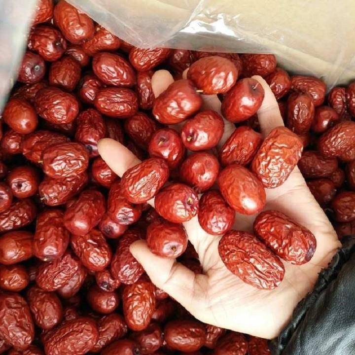 CÂY GIỐNG TÁO ĐỎ TÂN CƯƠNG , CAM KẾT GIỐNG CHUẨN F1 - CGTDTCHTF1