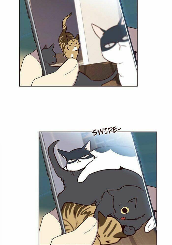 biến thân thành mèo chapter 11 21