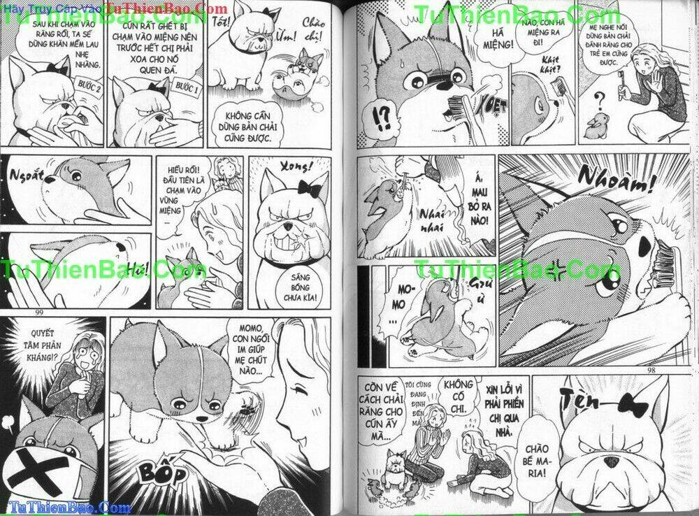 chó con mo mo chapter 6 50
