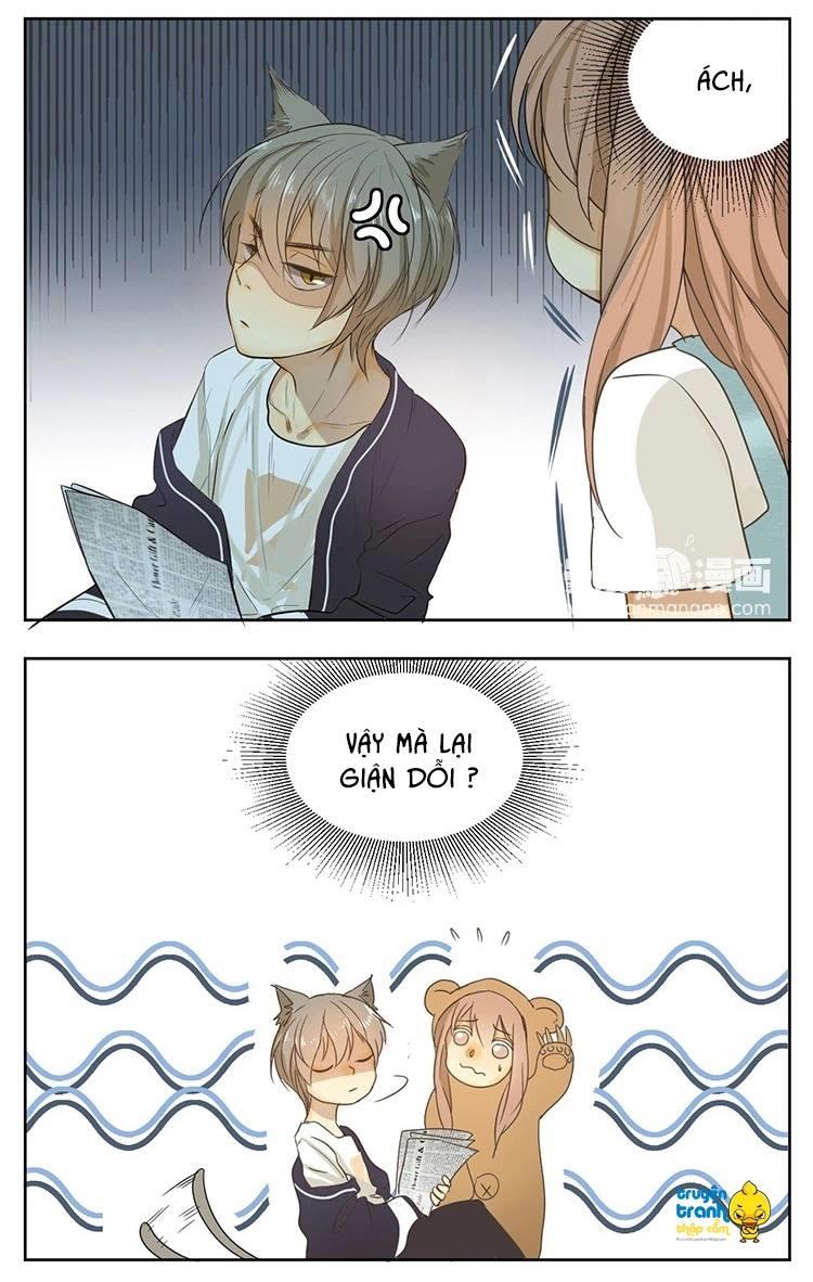 cứu mạng ! loài mèo thống trị thế giới rồi ! chapter 13 16