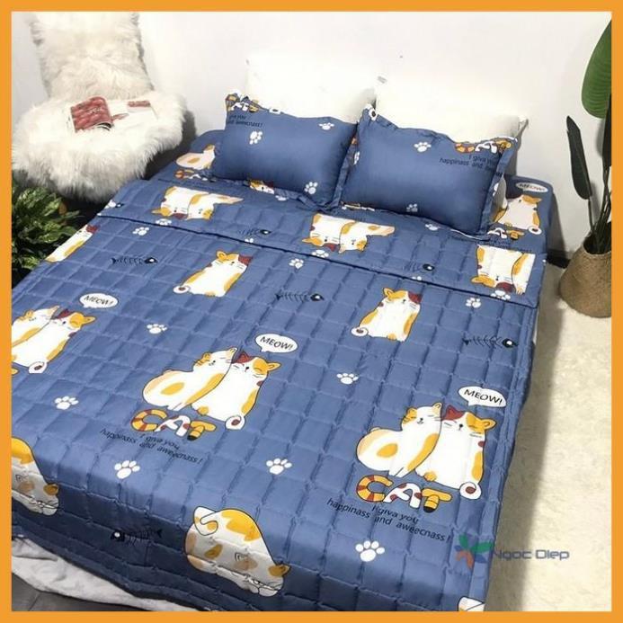 Bộ Chăn Hè Ga Gối Trải Giường Bọc Đệm Mèo Bụng To