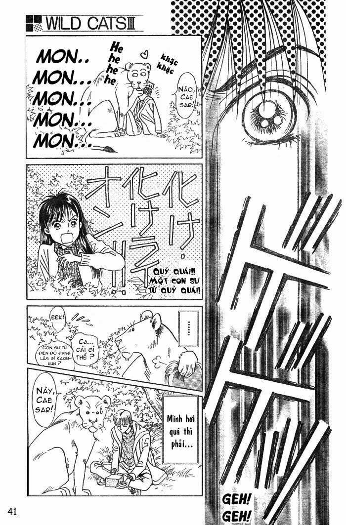 wild cats chapter 1 44