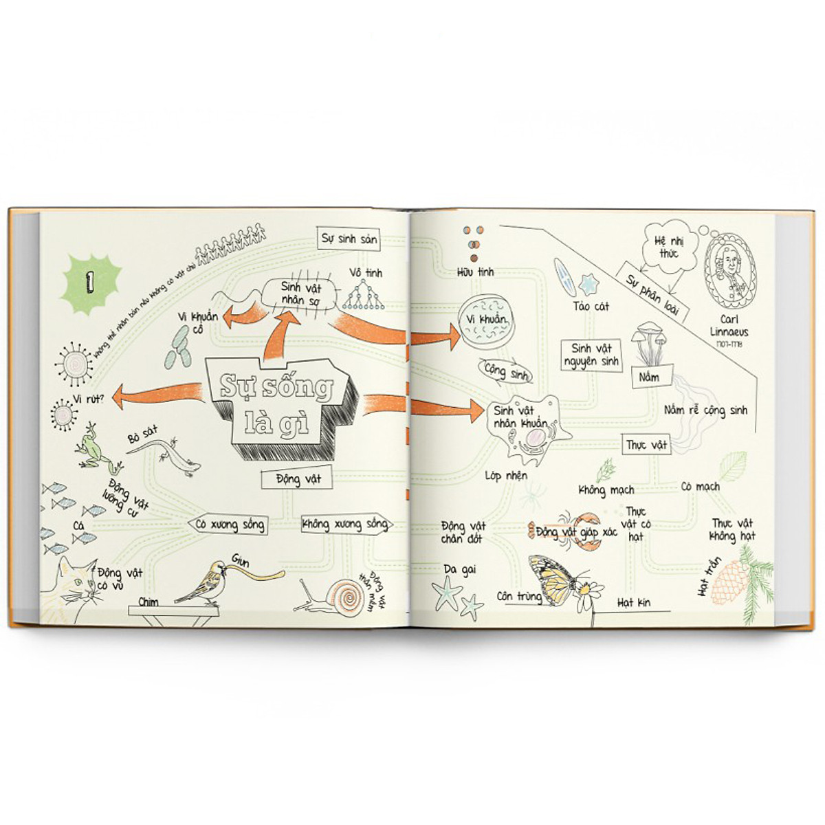 Sách Sơ đồ tư duy Sinh học - Min map Biology