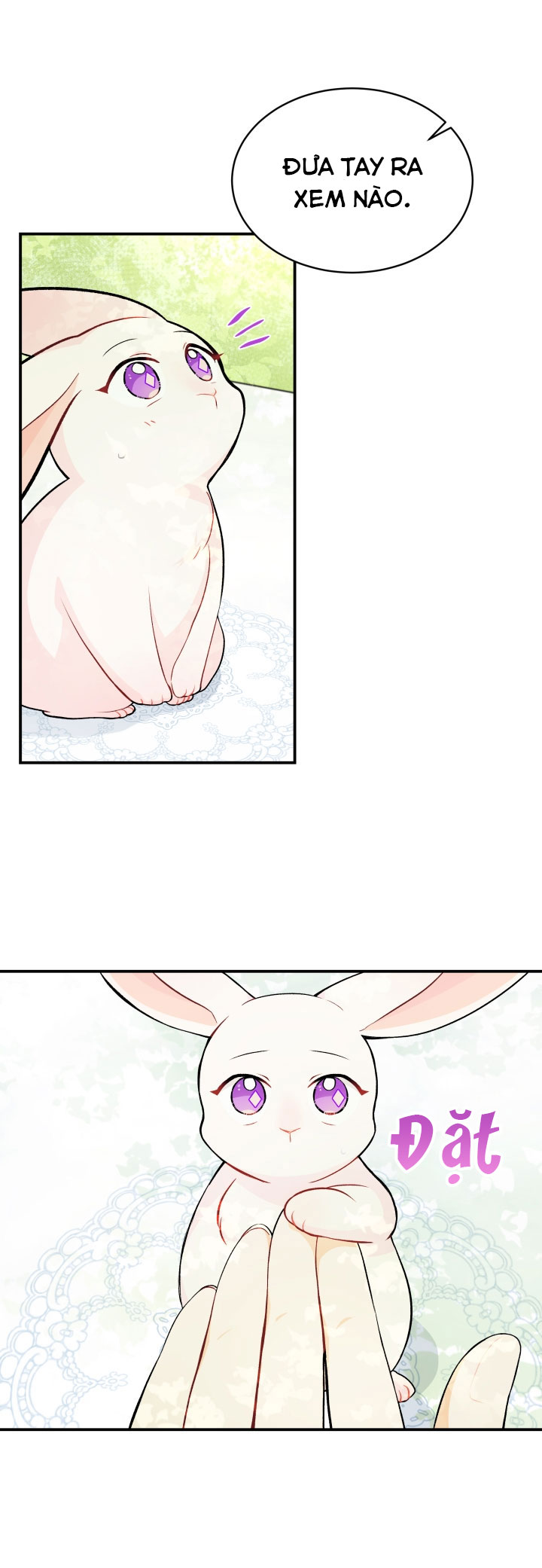 mối liên kết giữa báo đen và bé thỏ chapter 5 13