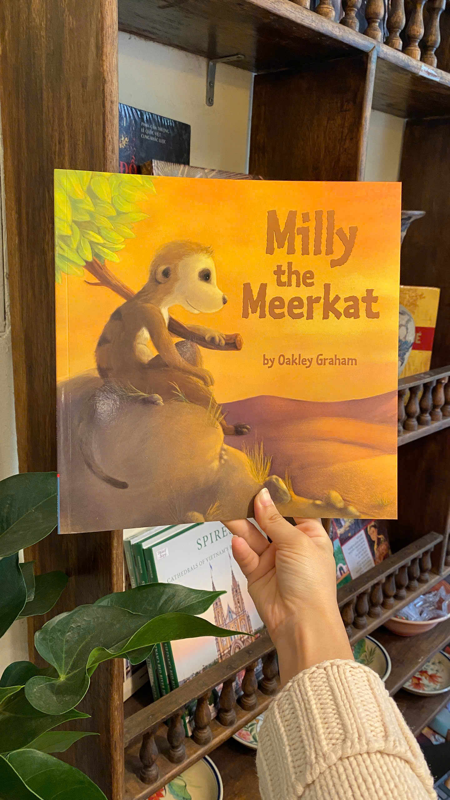 Sách - Milly the Meerkat (Picture Storybooks) by Oakley Graham | Children's Book - Sách ngoại văn