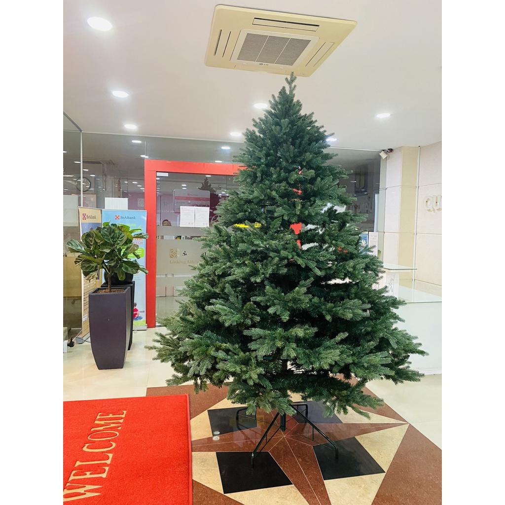 Cây thông noel PE cao cấp Cao 2m - Cây tự động bung - Loại cây đẹp sang trọng