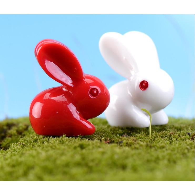 Combo đôi thỏ ngọc Trắng và Đỏ siêu cute trang trí tiểu cảnh