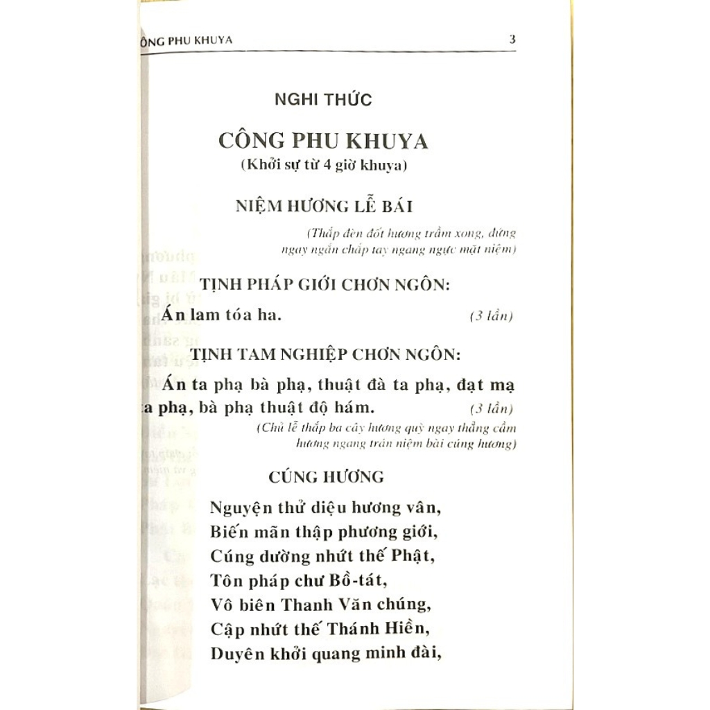 Sách - Kinh Nhật Tụng Bìa Rồng - Anan Books