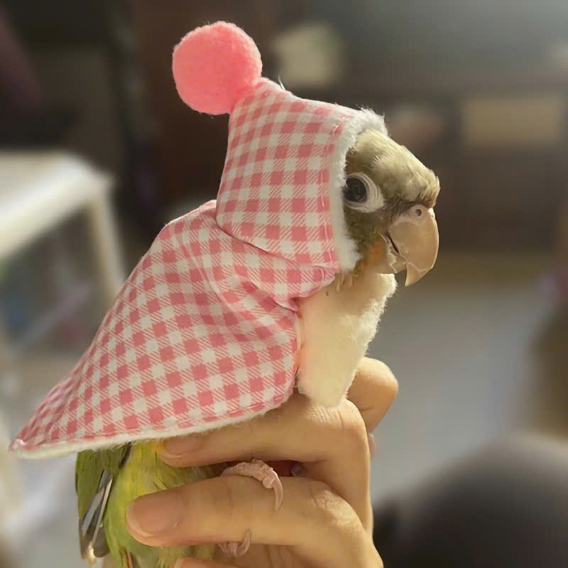 QUẦN ÁO CHO CHIM CẢNH CHIM VẸT CHIM PAROT CHIM SẺ DỄ THƯƠNG MÃ 2 XINH XẮN CHO CHIM THÚ CƯNG