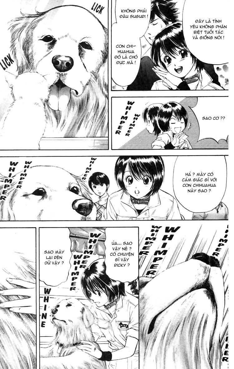 cô nàng yêu chó chapter 5 18