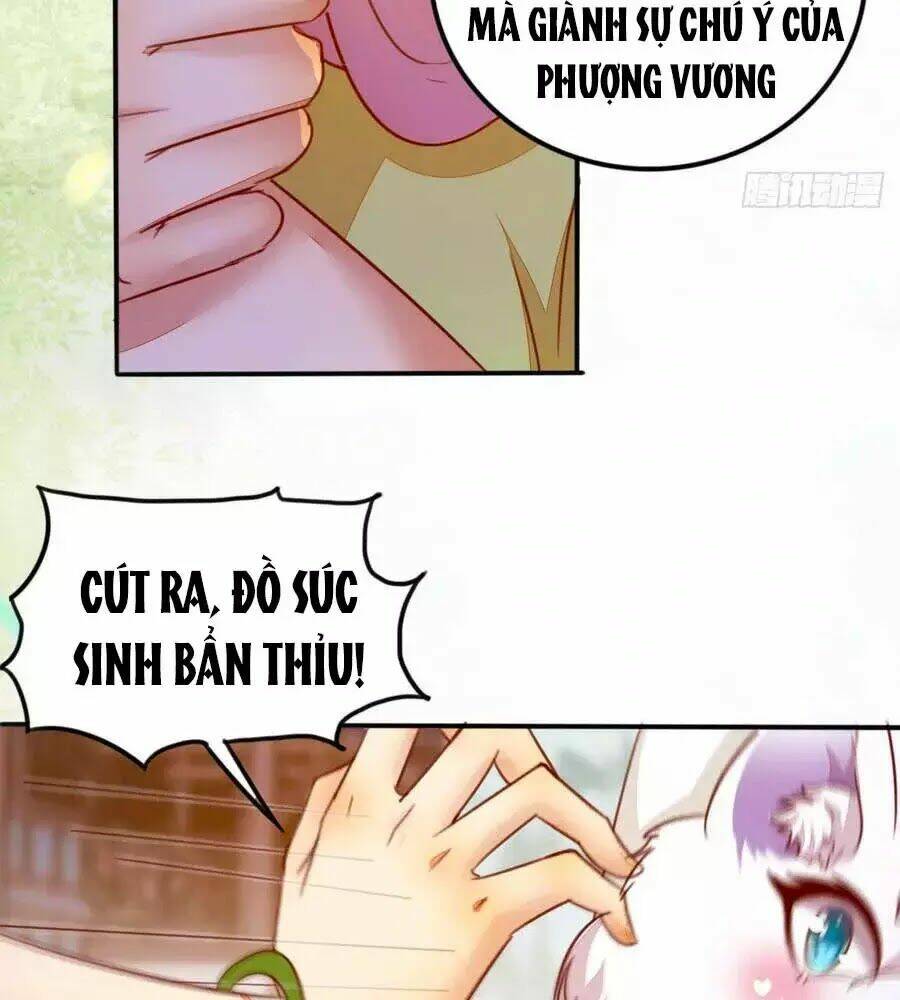 thần y khí nữ: ngự thú cuồng phi của quỷ đế chapter 62 31