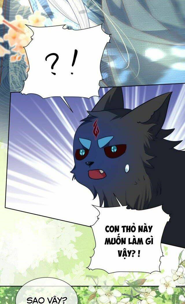 hắc hóa nam chính trực tuyến nuôi thỏ chapter 17 29
