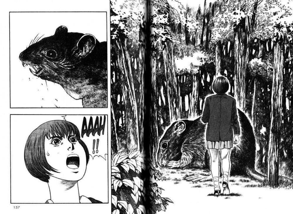 inugami chapter 3 19