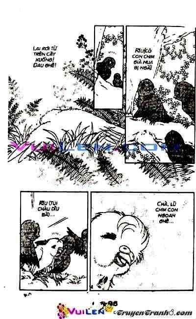 đóa hoa yêu kiều chapter 3 97