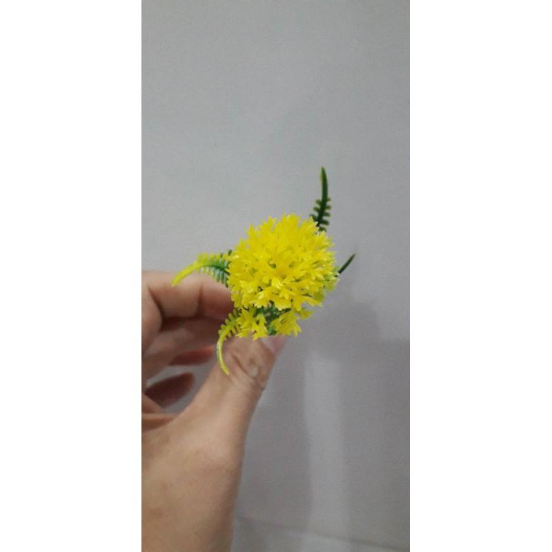 100gr Cỏ điểm ký trộn mẫu hoặc 1 mẫu