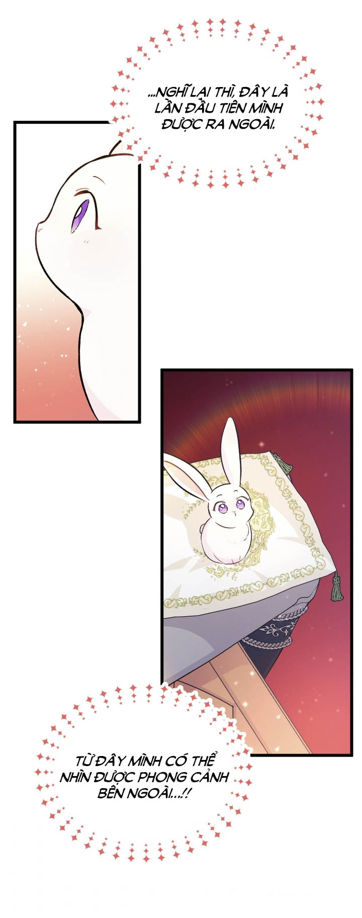 mối liên kết giữa báo đen và bé thỏ chapter 6 41