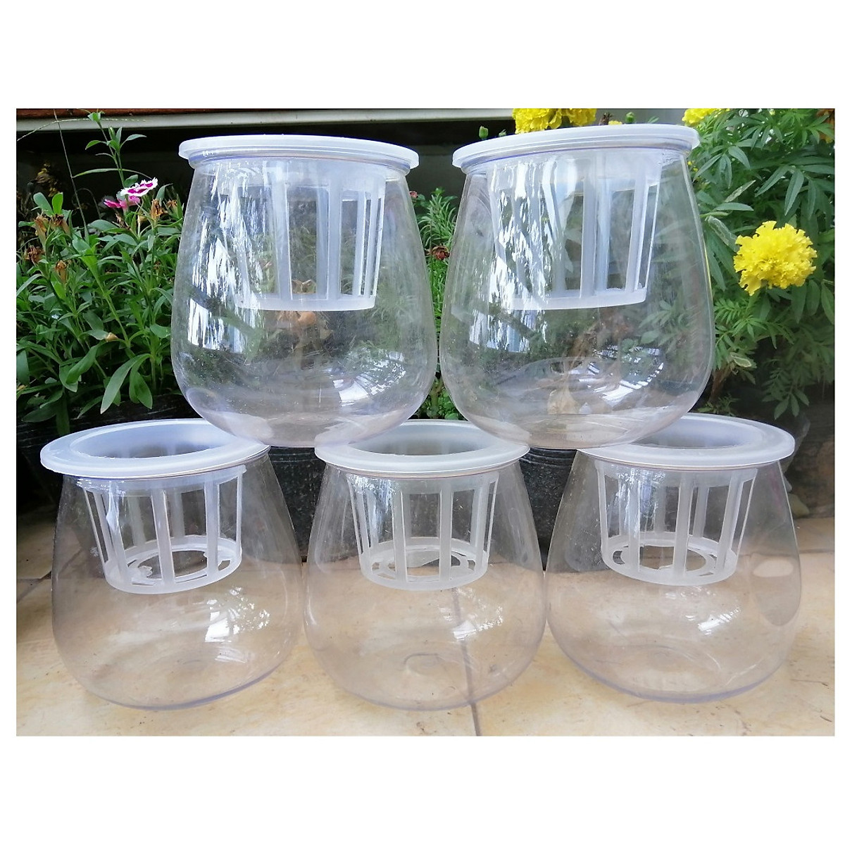 ComBo 5 Chậu Nhựa Trồng Cây Thủy Sinh, Kích Thước 10x10x13Cm