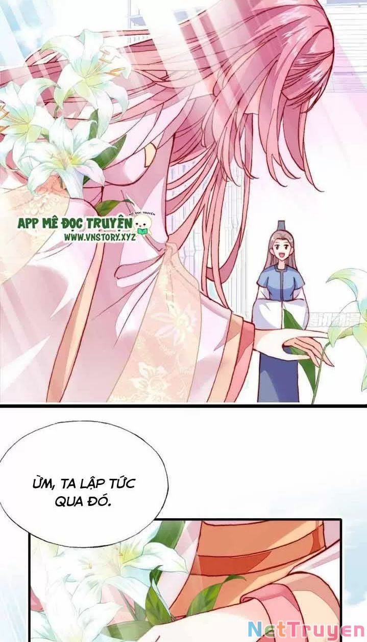 lại bị bệnh chiều chuộng quấn lấy chapter 11 44