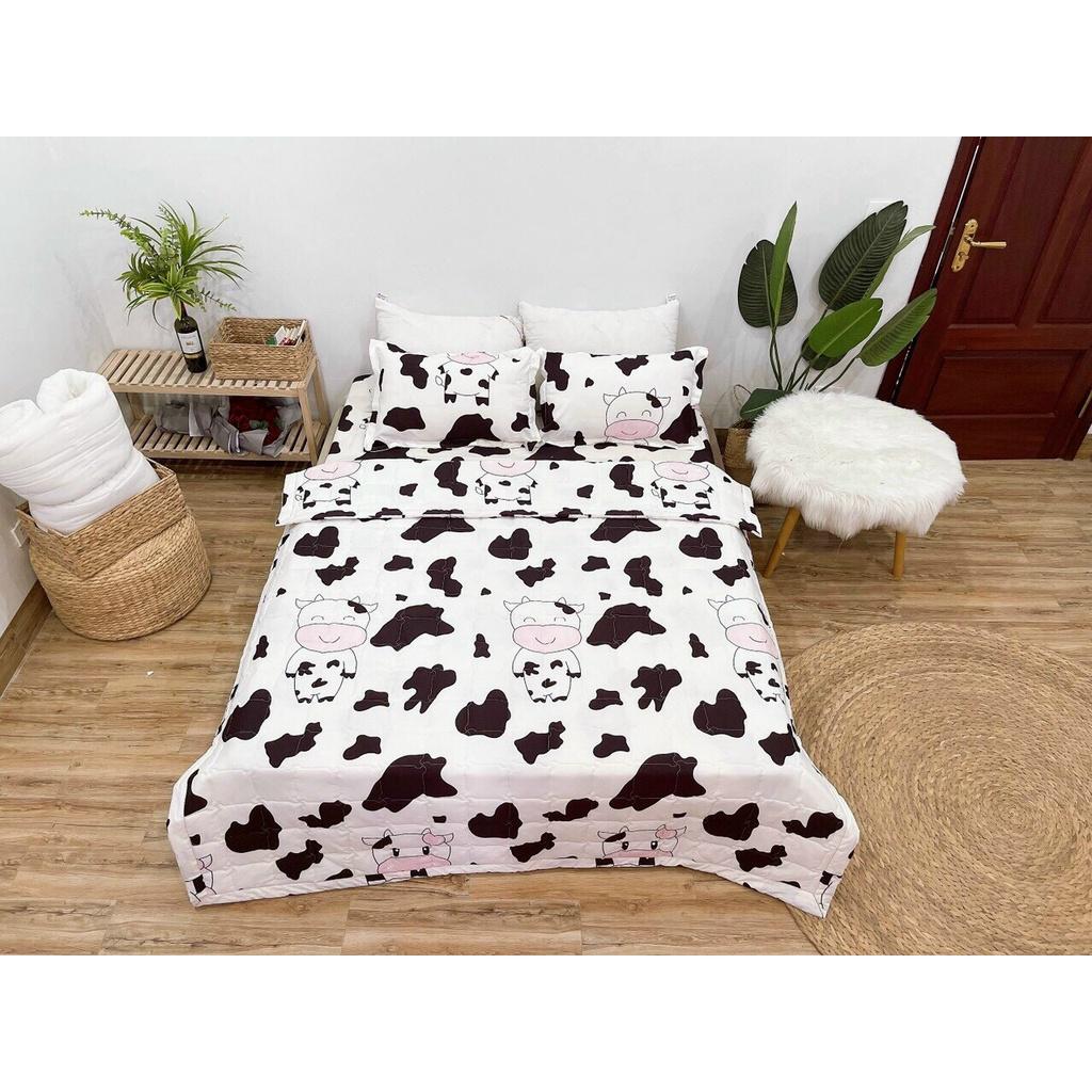 Bộ chăn ga gối poly 5 món hàng loại 1