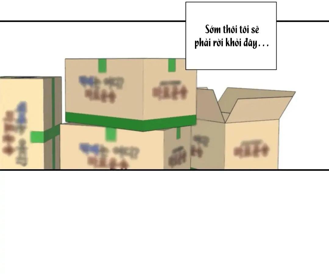 đường ranh giới chapter 29 67